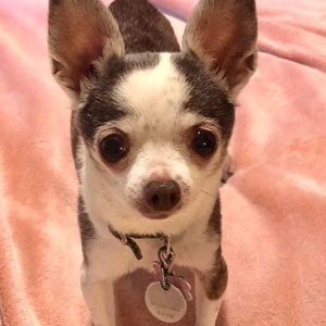 Meet your Posher, Debby